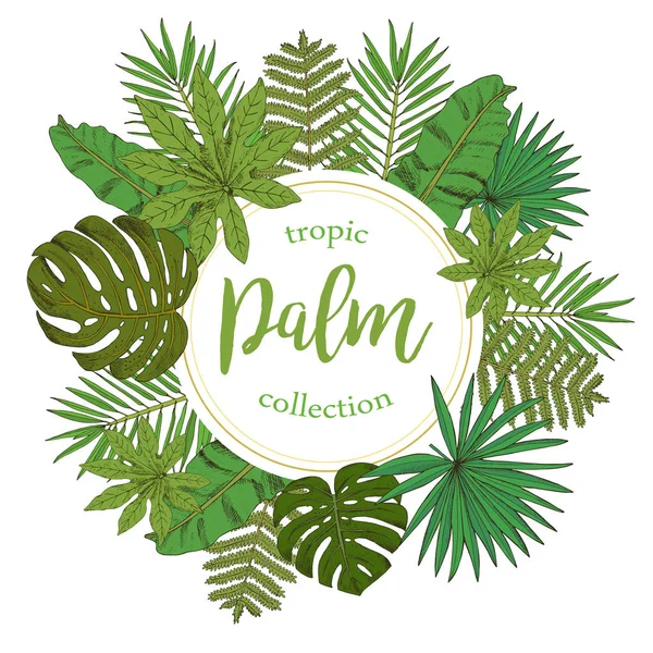 Çiçek daire kare. Kroki st koleksiyonu ile tropikal yapraklar