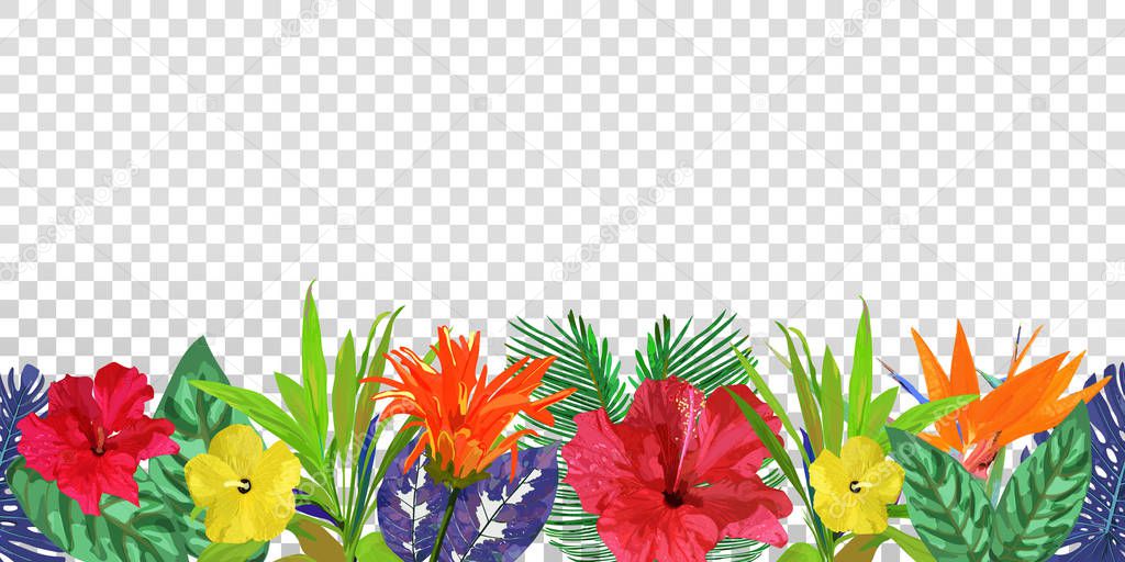 Floral seamless border. Background with isolated colorful hand d