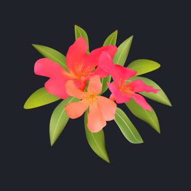 Kırmızı pembe tropik çiçekler ve oleandr buket üzerinde siyah bl bırakır