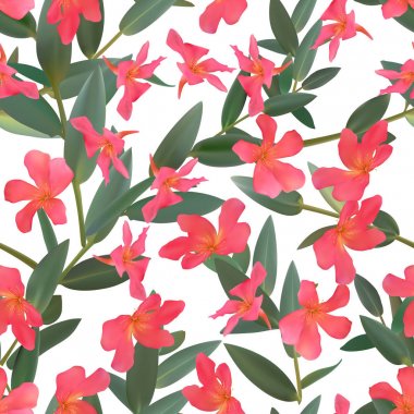 Kekik yaprağı yeşil Dikişsiz desen vektör izole set yaprak 