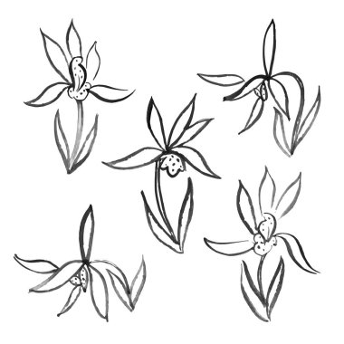 Suluboya çiçek el Çin sanat vektör Hüseyin kümesiyle çizimi