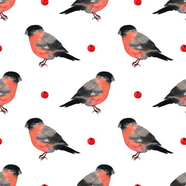 Karikatür tarzında ispinoz kızıl kuş Noel 'i. Suluboya kış bayramı sembolleri. Vahşi yaşam tasarım elementlerinin kusursuz deseni