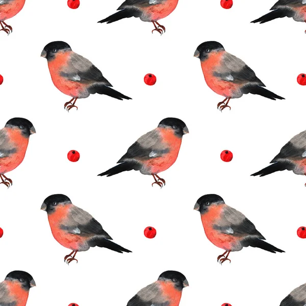 Bullfinch oiseau rouge Noël d'hiver dans le style de dessin animé. Symboles de vacances d'hiver en aquarelle. Modèle sans couture des éléments de conception de la faune — Photo