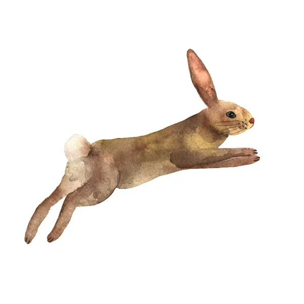 Zajíc běhá s dlouhýma ušima a nohama. Prvky pro šťastný Velikonoce a farmy design v akvarelech. Králíček. Roztomilý králíček. — Stock fotografie