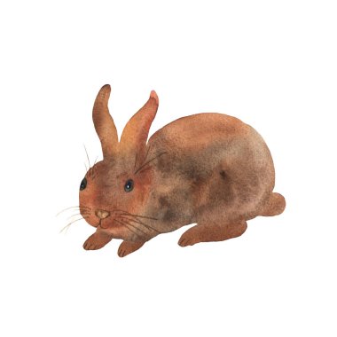 Suluboya kulaklı sevimli kahverengi tavşancık oturuyor. Mutlu bir Paskalya ve çiftlik tasarımı için elementler. Güzel tavşan.