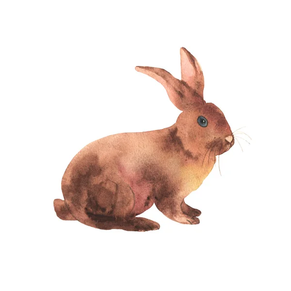 Сидящий милый коричневый кролик с стоячими ушами в акварели. Элементы для счастливой Пасхи и дизайна ферм. Милый кролик — стоковое фото