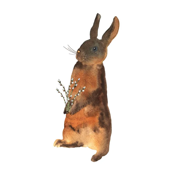 Standing cute brown bunny with willow branches in watercolor. Elements for a happy Easter and farms design. Pretty rabbit — Stock Photo, Image