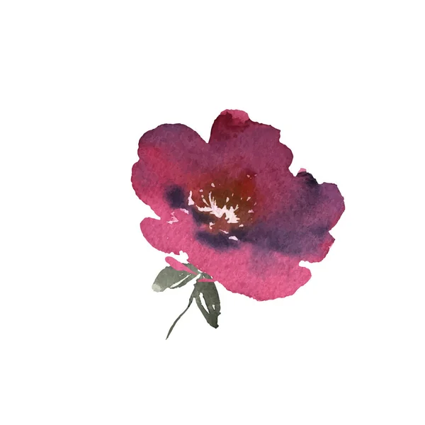 Aquarel bloem, met de hand getekend kleurrijke mooie bloesem plant, voor kaarten afdrukken en uitnodiging. Vector — Stockvector