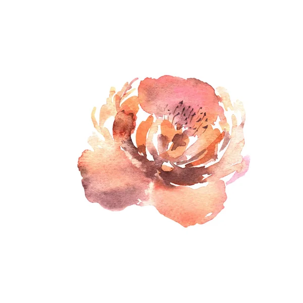 Flor aquarela, desenhado à mão colorido bela planta flor para cartões de impressões e convite. Vetor — Vetor de Stock