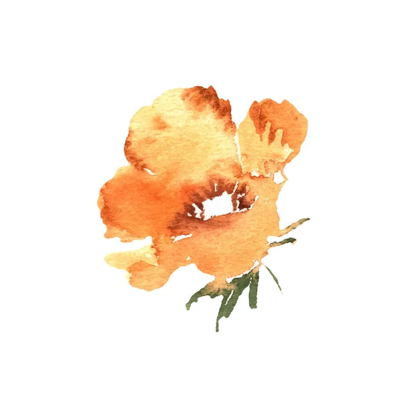 Υδατογραφία λουλούδι, ζωγραφισμένα στο χέρι πολύχρωμο όμορφο λουλούδι κίτρινο φυτό για εκτυπώσεις καρτών και πρόσκληση. Διάνυσμα — Διανυσματικό Αρχείο