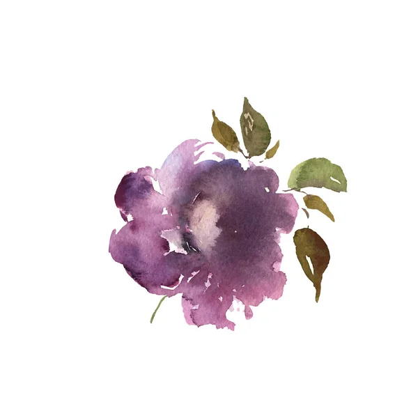 Flor de acuarela, dibujado a mano colorido hermosa flor púrpura planta para tarjetas impresas e invitación. Vector — Vector de stock