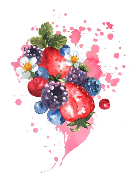 Berry keverék fröccsenő akvarell. Szaftos eper, áfonya, cseresznye és szeder levelekkel. Vektor. — Stock Vector