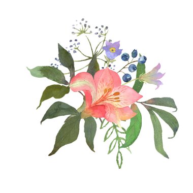 Çiçeksel suluboya seti ve pembe alstromerya. Çiçekli ve yapraklı botanik düzenlemeleri. Kumaş, pankart, davetiye ve kart basmak için birebirdir. Vektör.