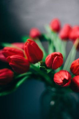 Vazodaki kırmızı laleler