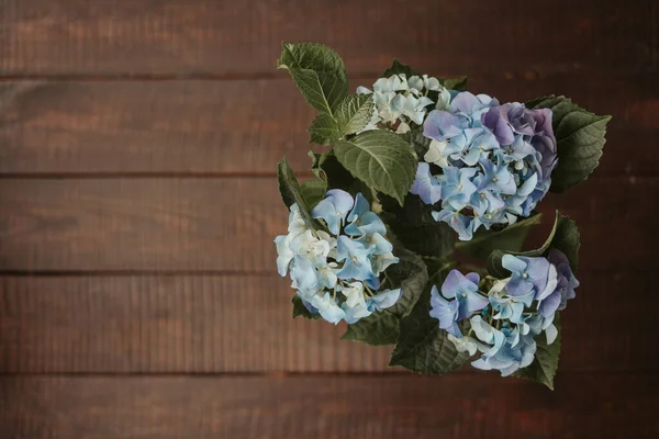 木制背景 顶视图 平坦的地面上 开着美丽的蓝色水仙花 蓝色的水壶中的大型水壶 开花的灌木 春季背景 — 图库照片