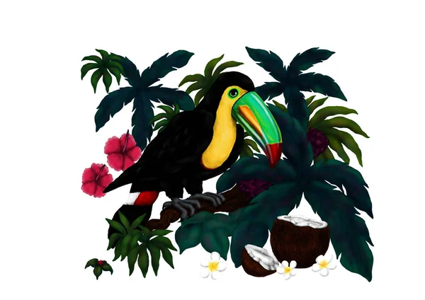 Toucan med Jungle växter (tropiska fåglar, 2017) — Stockfoto