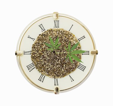 Kenevir tohumu ve kenevir yaprak okları üzerine beyaz izole saat