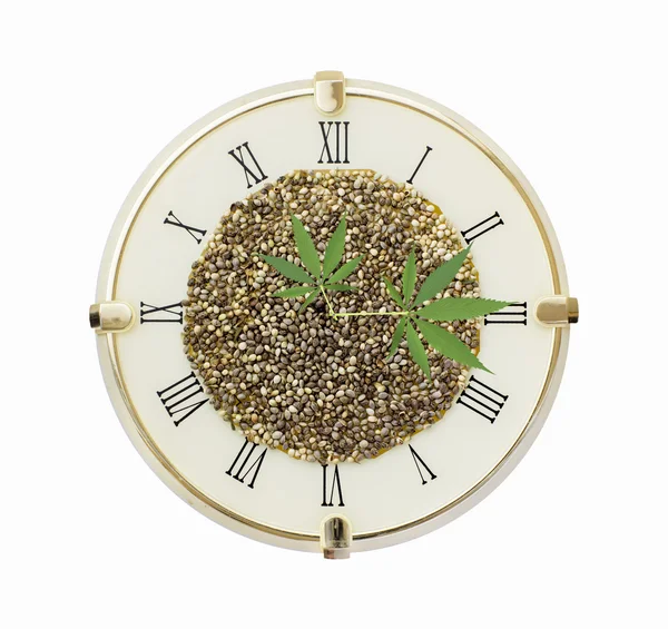 Clock with hemp seeds and hemp leaf arrows isolated on white — ストック写真