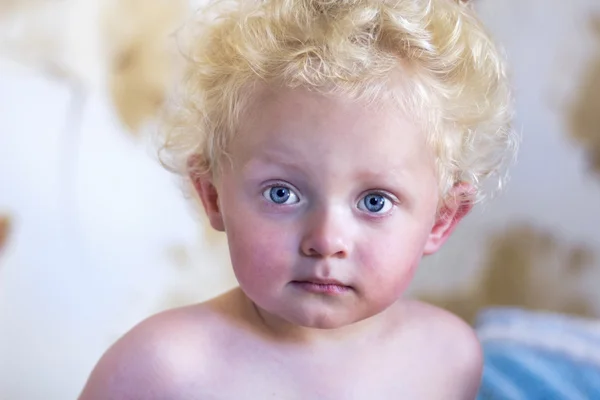 Little boy with golden curly hair — Stock fotografie