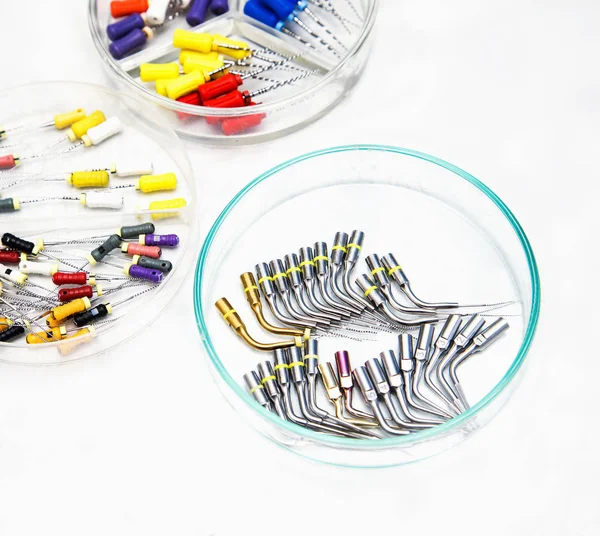 Endodontic Equipment in Petri dish — Stock Photo, Image