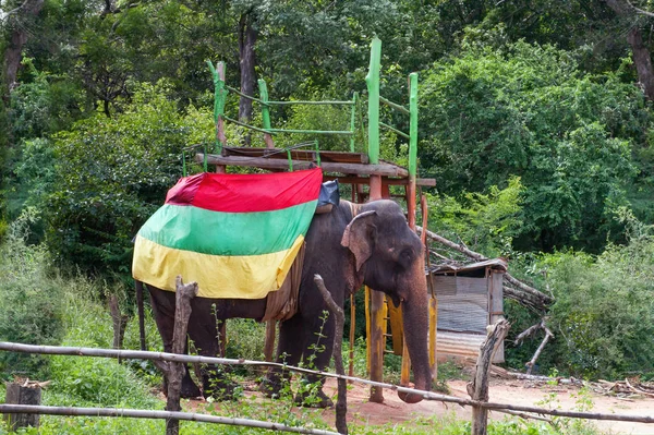 Elefante com bandeira amarela verde vermelha — Fotografia de Stock