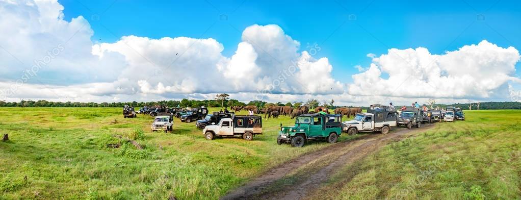 Panorama with elephants and jeeps safari
