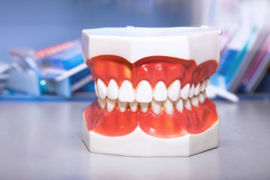 Diş modeli yakından kümesi