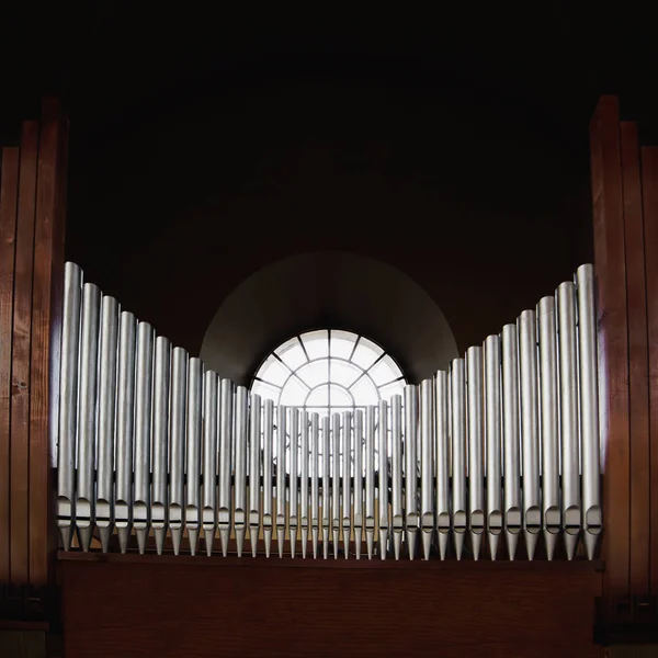 Metal boru boru organ