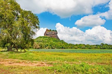 Sigiriya ya da Sinhagiri aslan kaya