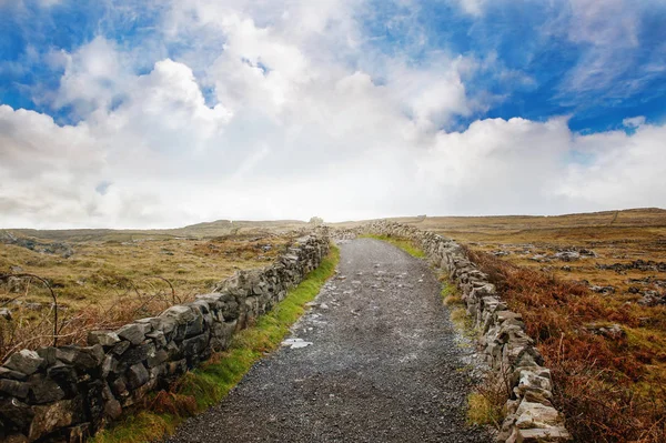 Yol ve alanları ile manzara