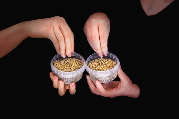 Four hands with hemp seeds in plastic containers — Stock Photo, Image