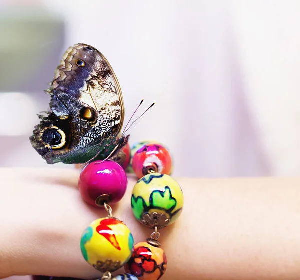 Fjäril på en flickas hand med färgglada armband. — Stockfoto