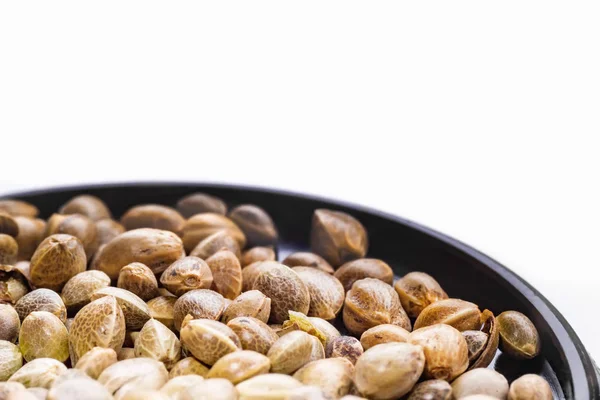 Hemp seeds on a black plate — Stock Photo, Image