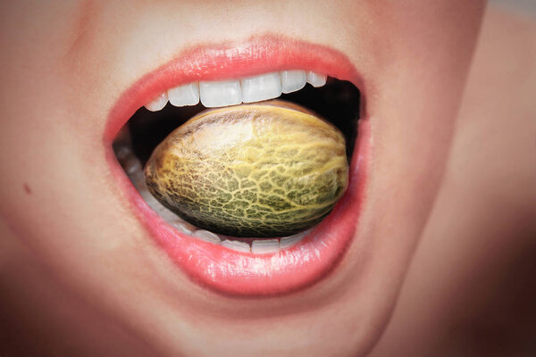 Большое семя конопли во рту женщины
