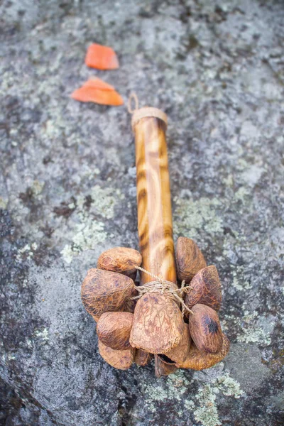 Rattle Togo насіння — стокове фото