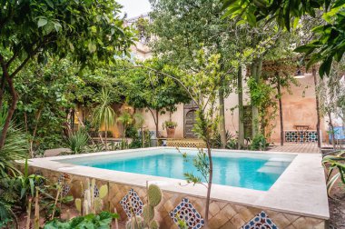 Havuzu mavi su ve çevresindeki çeşitli bitkiler 