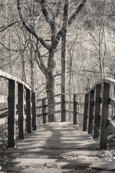 Escaliers en bois dans le parc — Photo