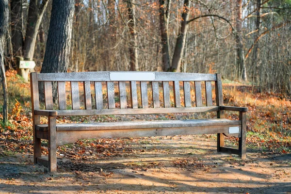 Lonely wooden bench with labels in a park on sunny autumn day — Stock Photo, Image
