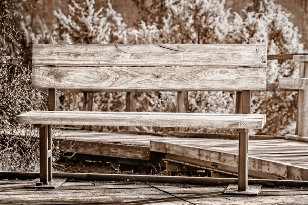 Close view of wooden bench in a park. — Stock Photo, Image