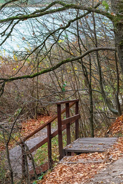 Escaliers en bois dans un parc d'automne — Photo