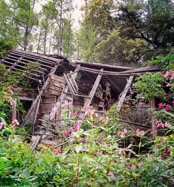 Стара дерев'яна зруйнована будівля — стокове фото
