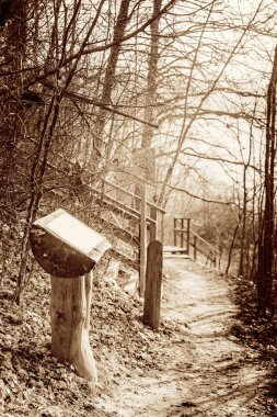 Güneşli bir sonbahar gününde parkta ilan panosu