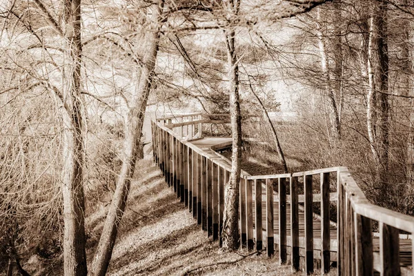Holzsteg im Wacholdertal im Herbst — Stockfoto