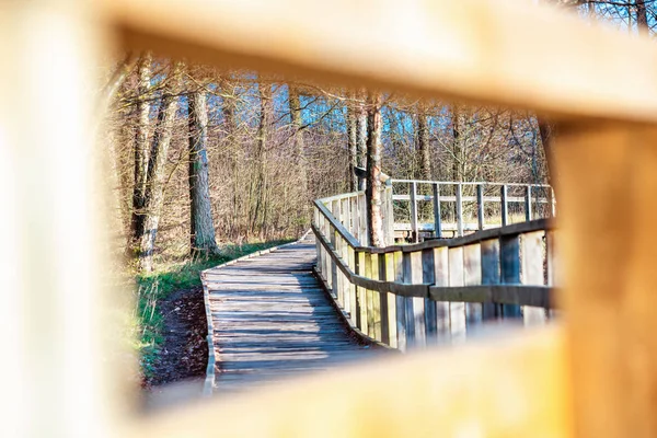 Passerelle en bois dans la vallée du genévrier à travers la main courante openin — Photo