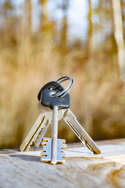 Různé klíče s kroužkem na dřevěné desce — Stock fotografie