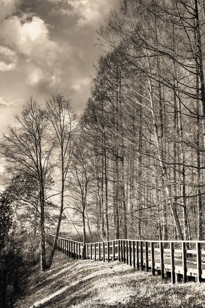 Beau paysage avec une passerelle en bois dans le parc à l'automne — Photo