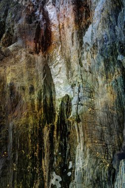 Renkli ıslak kaya