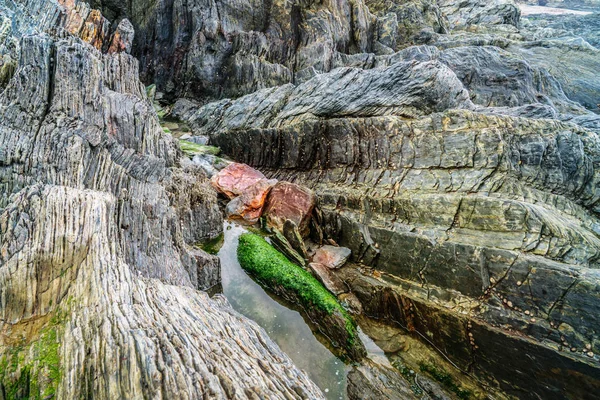 Красочные влажные скалы на берегу — стоковое фото