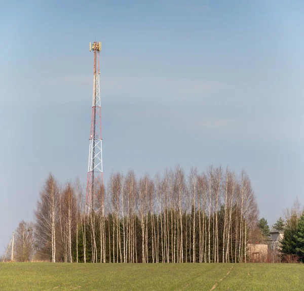 Metallic Telecommunications Tower Forest Front Birch Trees — Stock Photo, Image