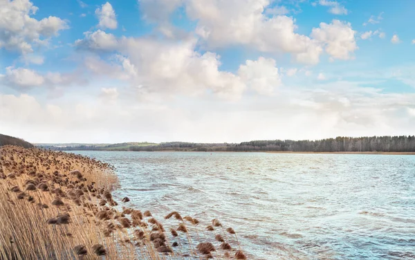 Panoramalandskap Med Vass Sjöstrand Och Mulen Himmel Våren Litauen — Stockfoto